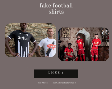 fake Angers SCO football shirts 23-24